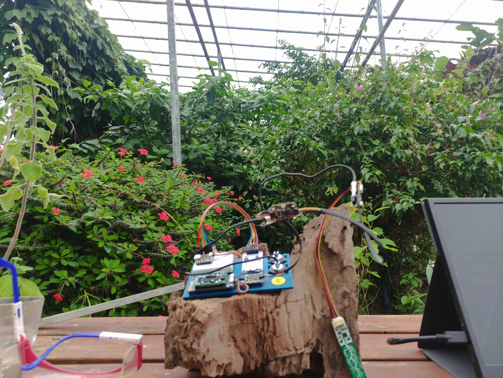 The field kit logging data inside a lush greenhouse