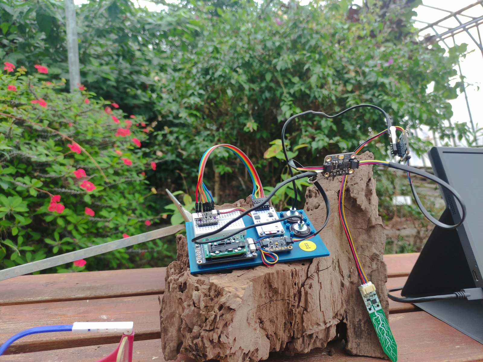 The field kit among greenhouse plants